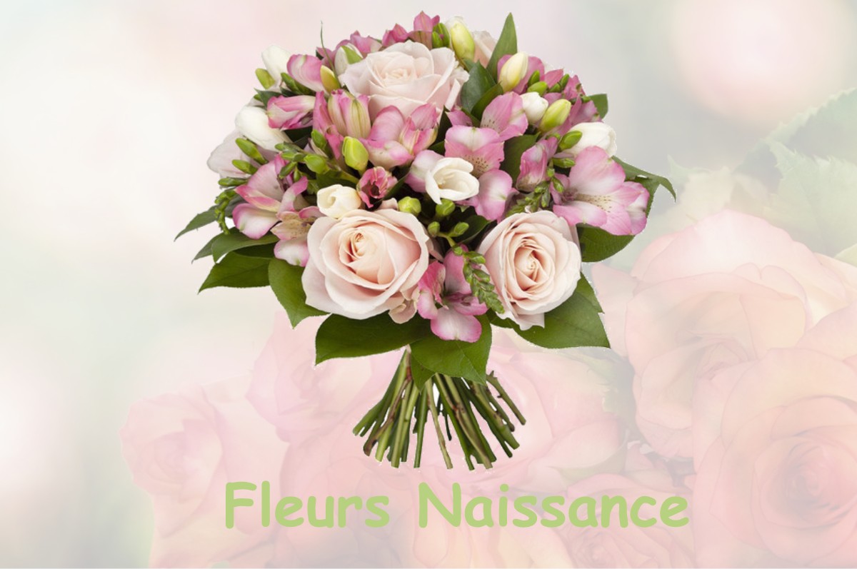 fleurs naissance TOSSE