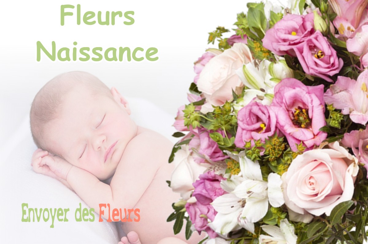 lIVRAISON FLEURS NAISSANCE à TOSSE